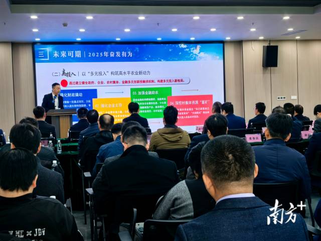 现场会总结了南海2024年高水平农业发展成效，许下了新年愿景。  南方+ 孙景锋 拍摄