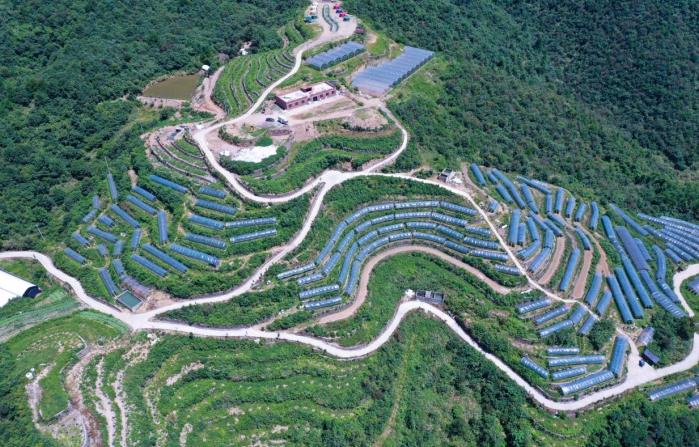 浦江县打造“三分六统”模式 促进山区农民共同富裕