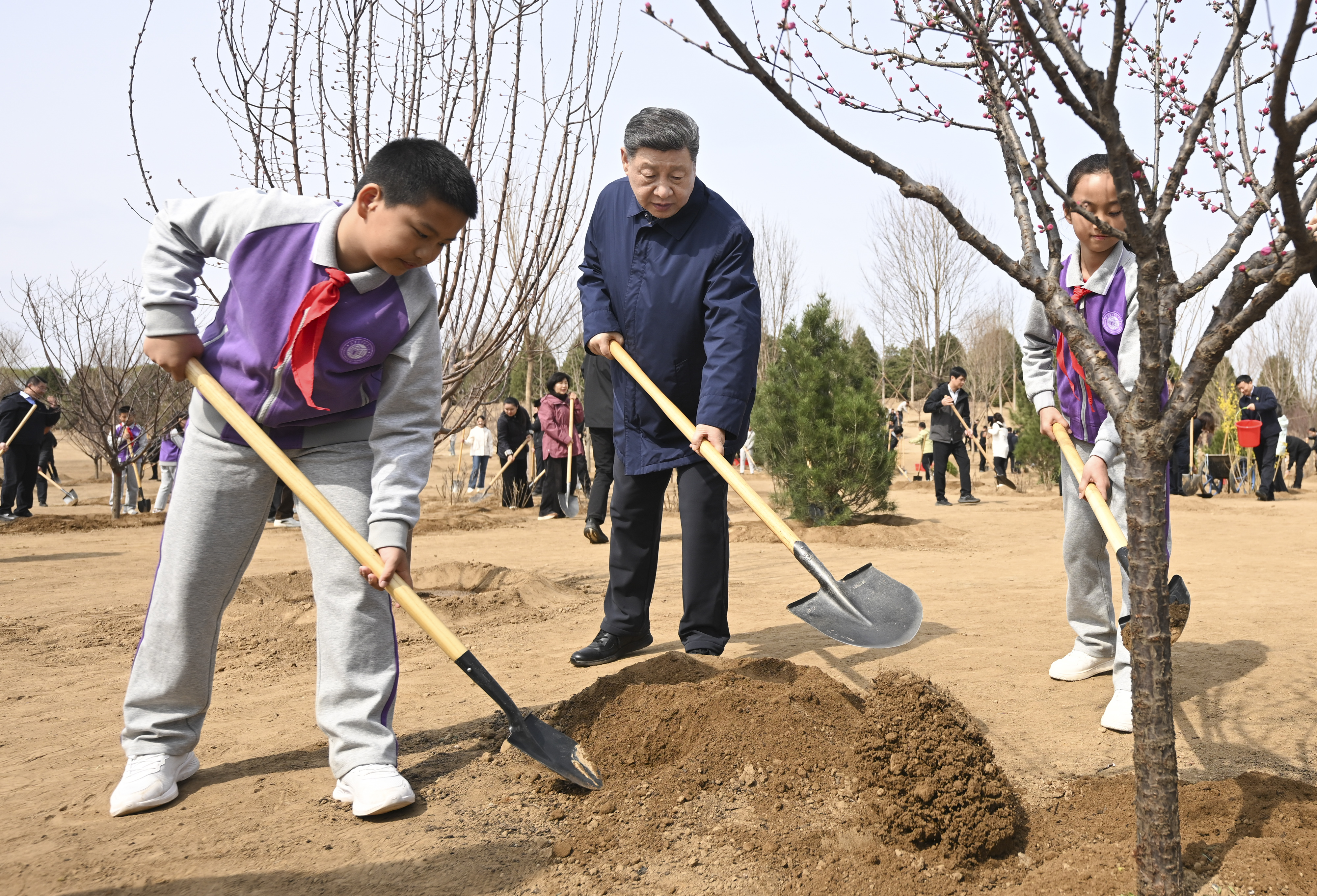 党和国家领导人参加首都义务植树活动